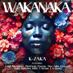 Wakanaka (feat. Peeray, Tiaz Odia, PrayzzZ, Rald, Babyboy MDB, C Bryan & LA Beatz) (Remix)