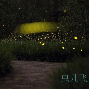 陈光荣 - 虫儿飞  (Guitar Edit)