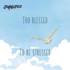 Too blessed to be stressed (Explicit)