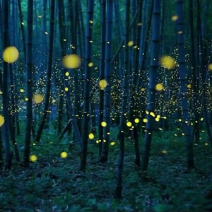 羊水声+嘘声哄宝宝入睡