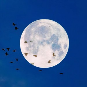 잠 못드는 밤 （不眠之夜） - Crush/Punch-不眠之夜 (YuBig楊 Remix)