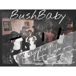 BushBaby (Explicit)