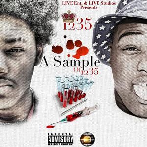 Revenge(Bye Felicia) (Explicit)