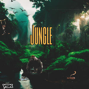 Jungle (Explicit)