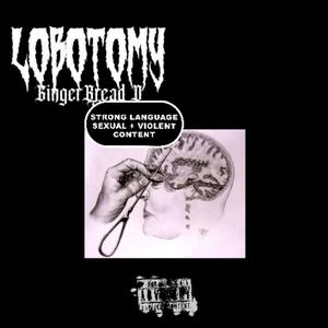 L0B0T0MY (Explicit)