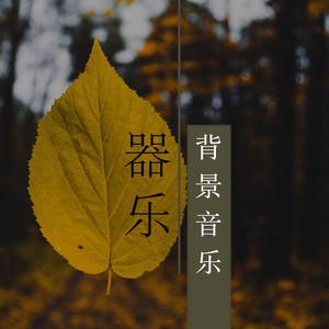 器乐背景音乐 - 最好听的钢琴BGM和大自然声音为了天天拥有真能量