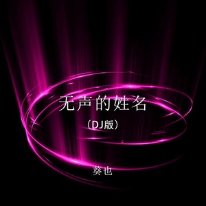 无声的姓名 (DJ版)