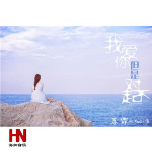 我爱你但是对不起