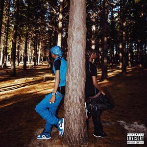 Perfect Match (feat. Priddy Prince) (Explicit)