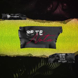 Se te nota (feat. Matt Black, Vic Anz & Cataldi)