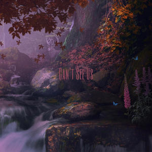 Can't See Us (Explicit)