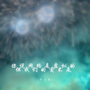 你说网络是虚拟的 但我们的爱不是 (伴奏)