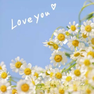 如果这就是爱情 (Live)