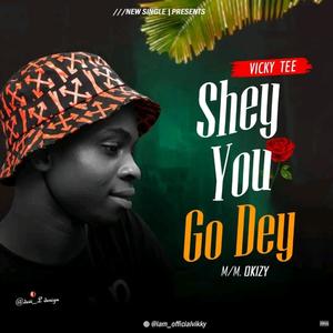 Shey you do dey