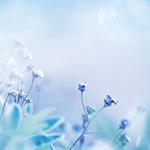 忘不了 (三步踩舞曲)旋律快跳版 (伴奏)