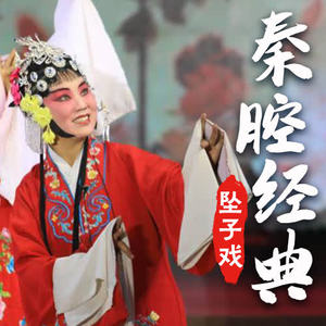 经典合辑-(坠子戏 秦腔)