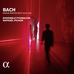 Bach: Missae breves BWV 234 & 235 (Alpha Collection)