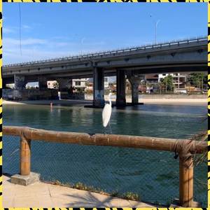 No Fundo do Oceano (Explicit)