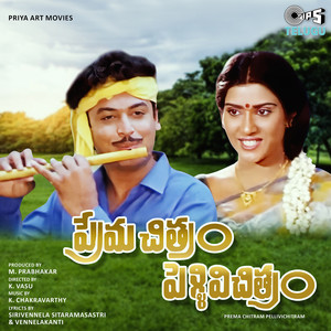 Premachitram Pellivichitram (Original Motion Picture Soundtrack)