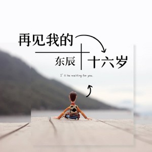 再见我的十六岁