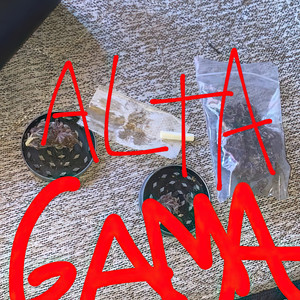 Alta Gama (Explicit)