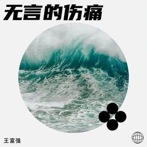 无言的伤痛封面