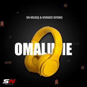 Ziphi Lay`khona (feat. Ntando Siyoko)
