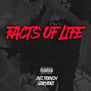 Facts Of Life (Explicit)