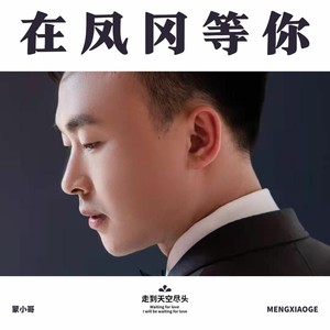 在凤冈等你 (伴奏)