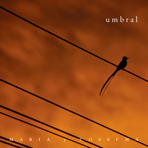 No Te Busques Ya en el Umbral