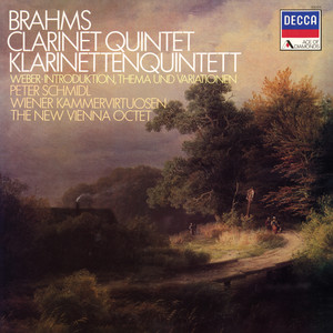 Clarinet Quintet in B Minor, Op. 115 - Brahms: Clarinet Quintet in B Minor, Op. 115: I. Allegro