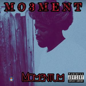 Momentum (Explicit)