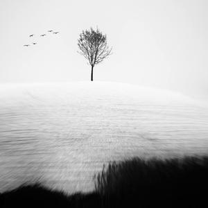 Prevalin (feat. Patxhhglo)