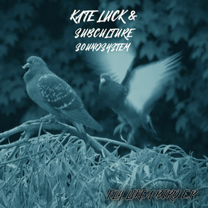 Fly Like A Bird (Subculture Electro Mix)