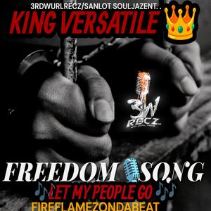 FREEDOM SONG (Explicit)