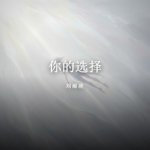 你的选择封面