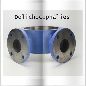 Dolichocephalies