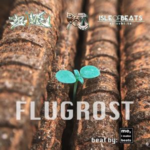 Flugrost (feat. Patu, isleofbeats & me, i make beats)