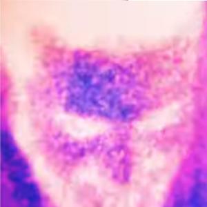 stet sto da njet / uzavreo stan (feat. Kopa & Nassim Sekkal) (Explicit)