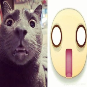 raf simon (Explicit)