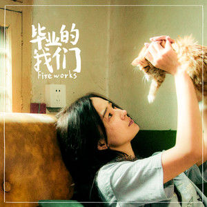 毕业的我们