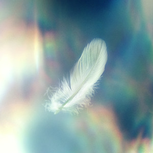 Tengo Victoria En Ti (Live)