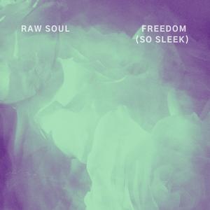 Freedom (So Sleek) (Explicit)