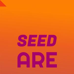 Seed Are