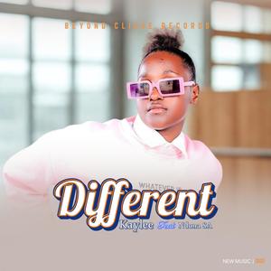 Kaylee_DIFFERENT (feat. NdonaSA)