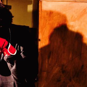 NARCISSUS (Explicit)