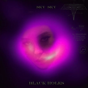 Black Holes