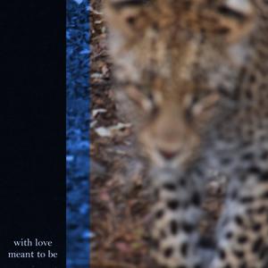 Visitation (Explicit)