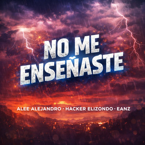 No Me Enseñaste
