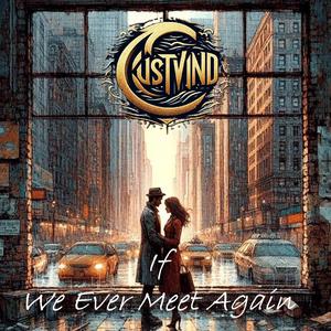 If (We Ever Meet Again) (Single Edit)